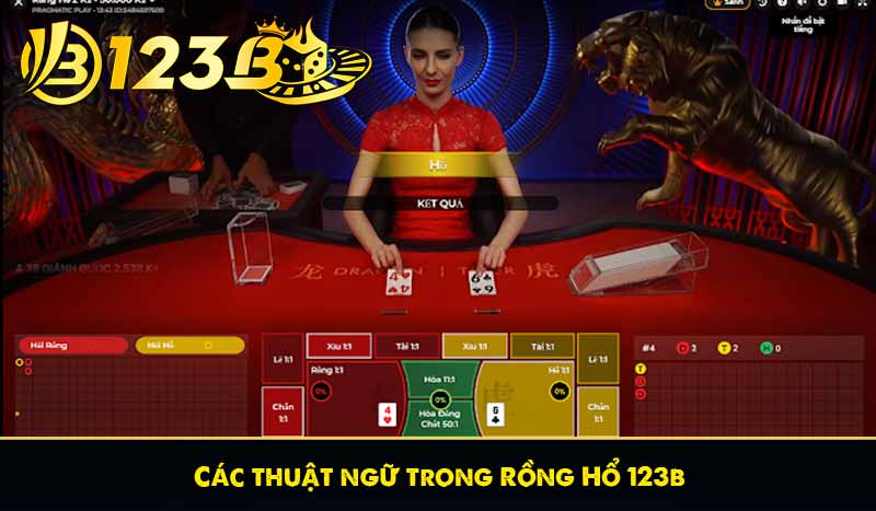 Các thuật ngữ trong Rồng Hổ 123b